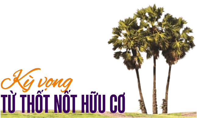 kỳ vọng thot not