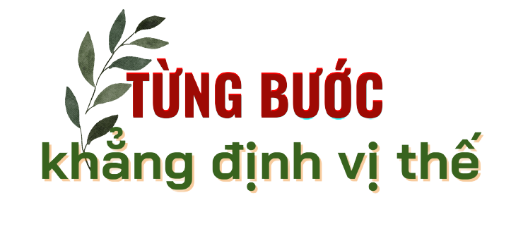 mang cut bao loc a