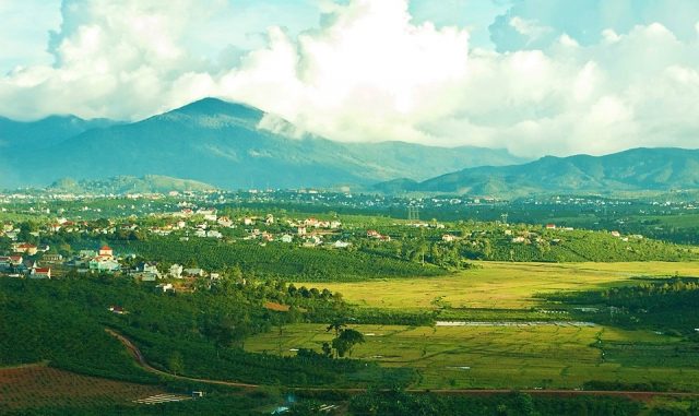 di linh
