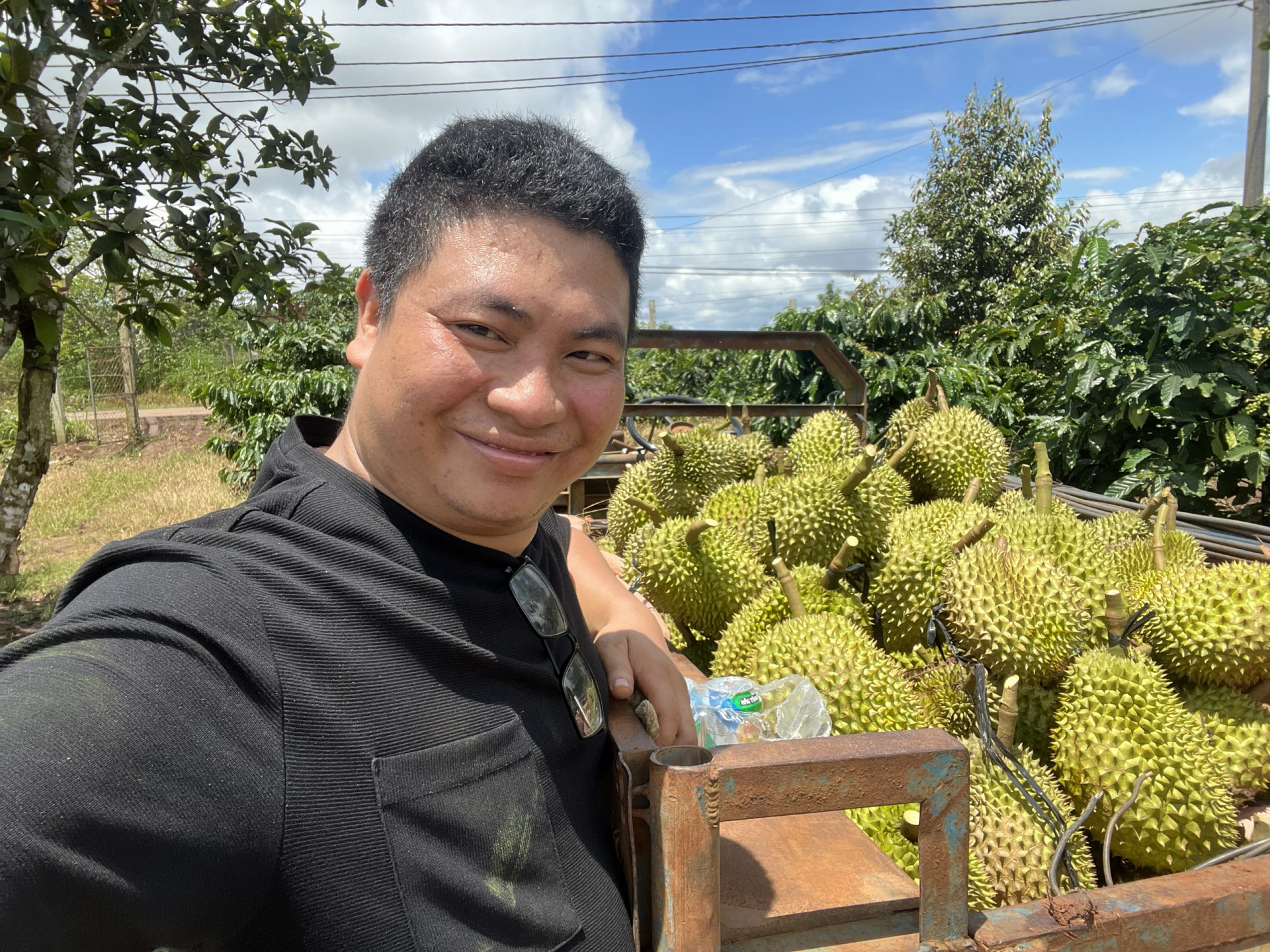 Sầu riêng