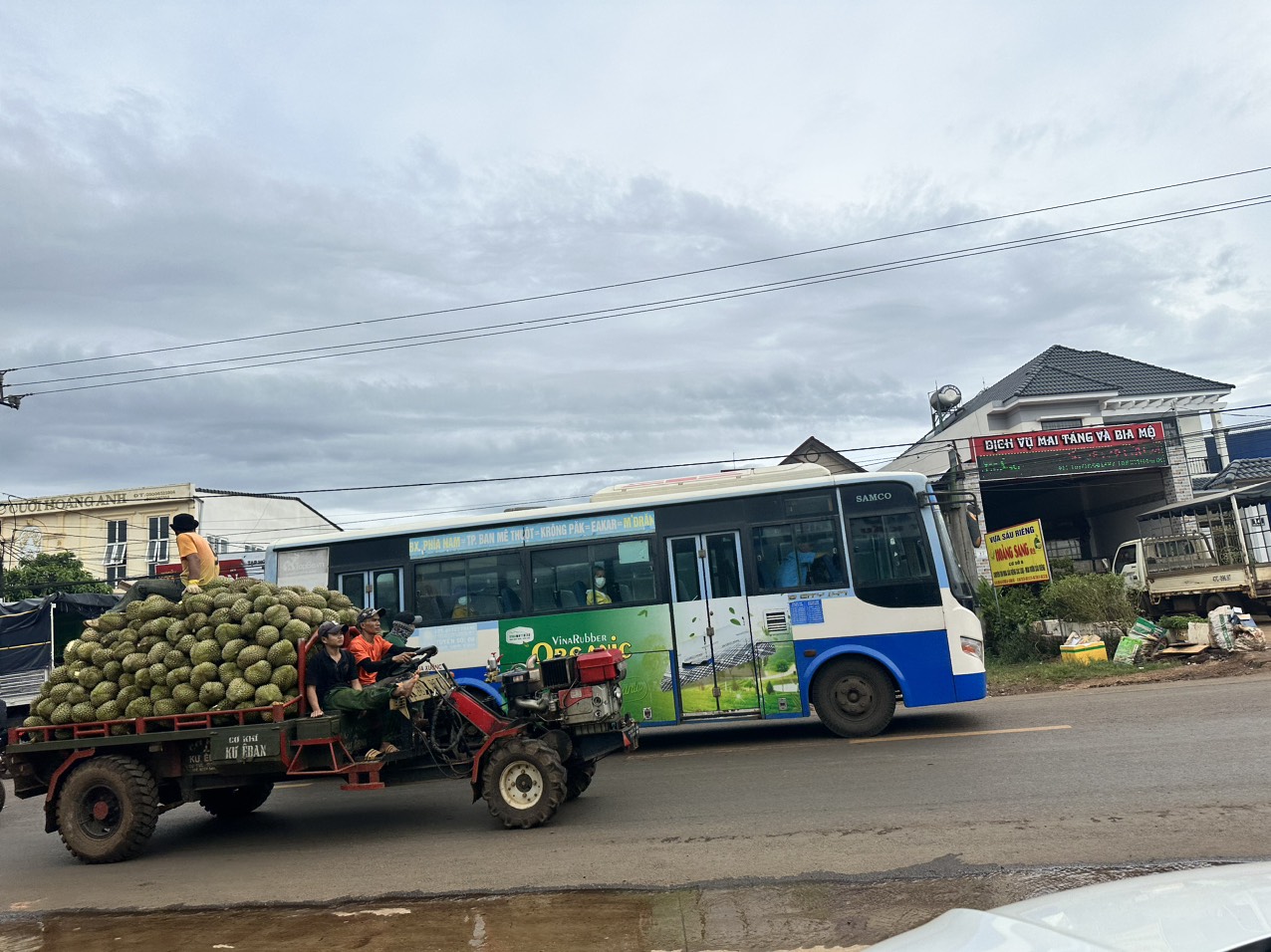 Sầu riêng