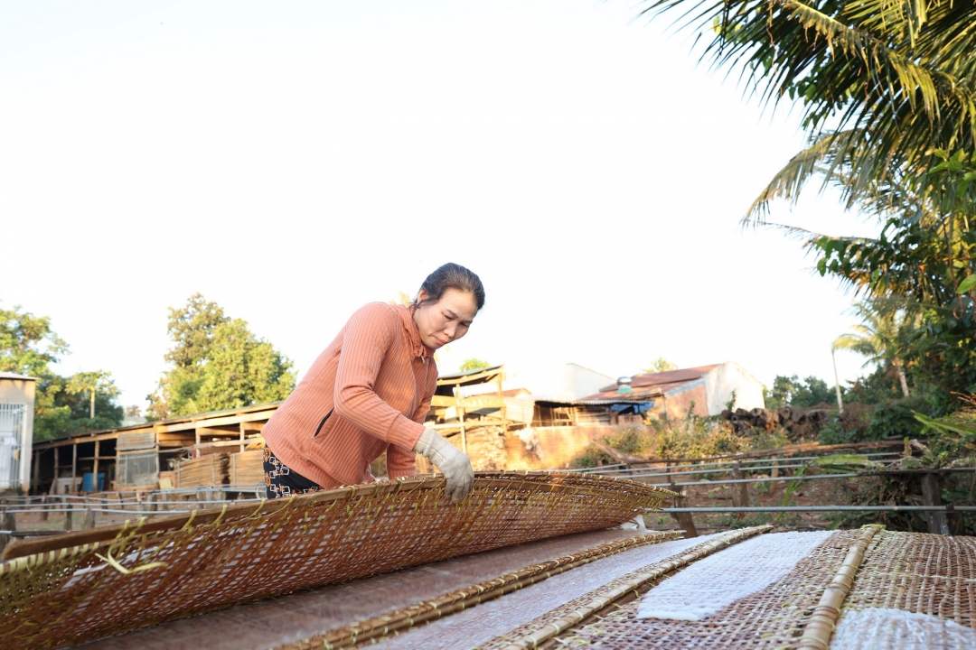phơi bánh