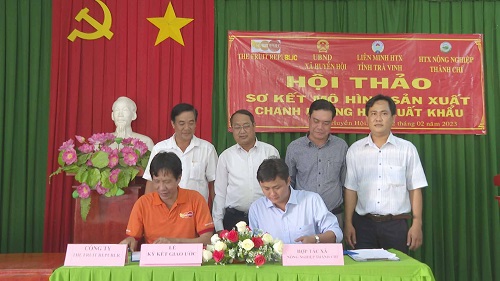 chanh 5