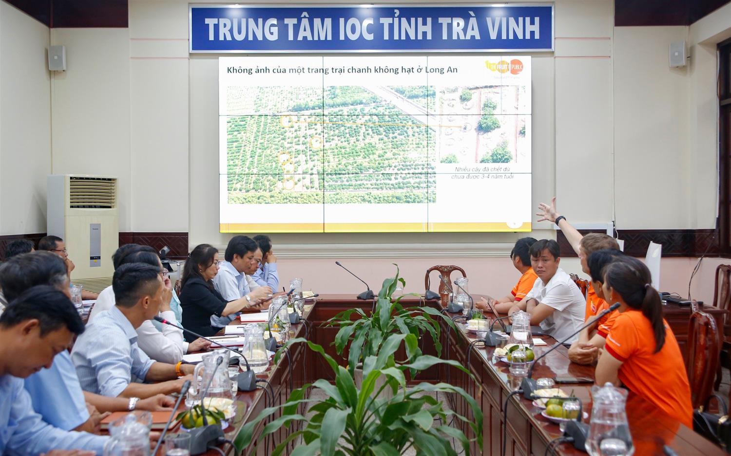 trà vinh