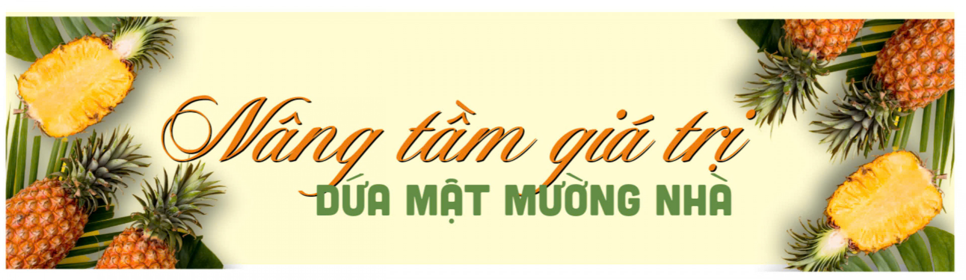 nâng tầm dứa mật