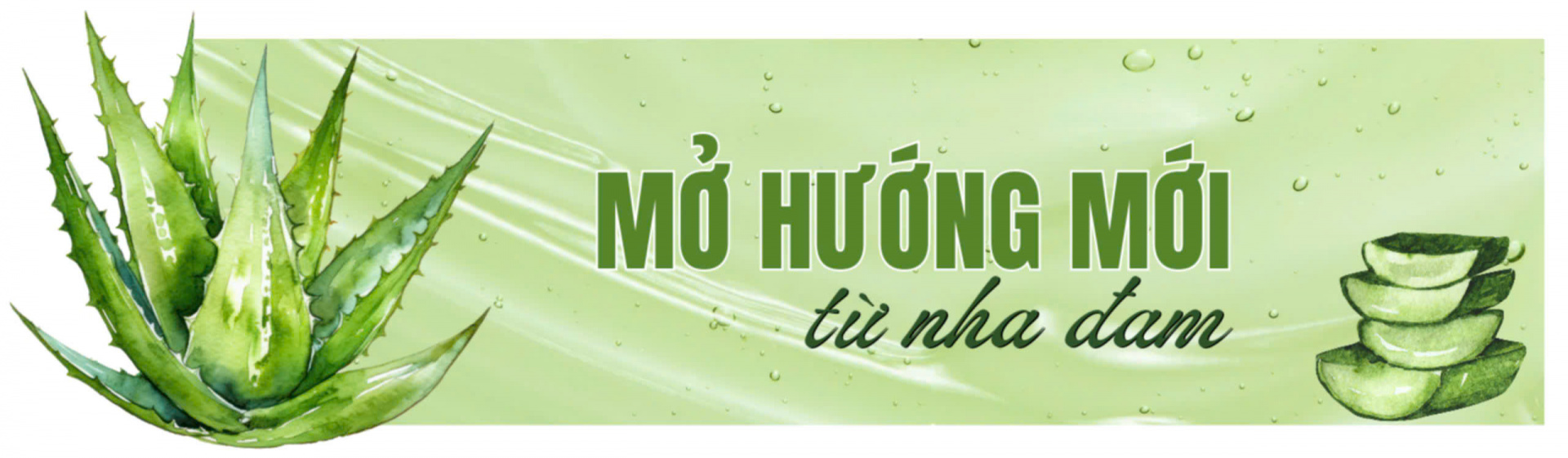 nha đam