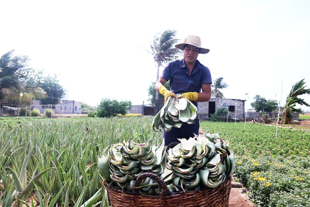 nha đam 2