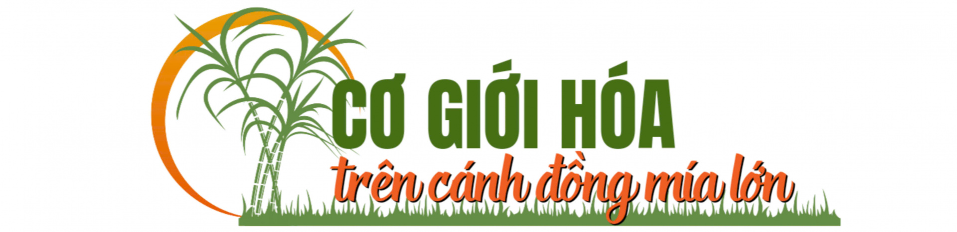 cơ giới hoá