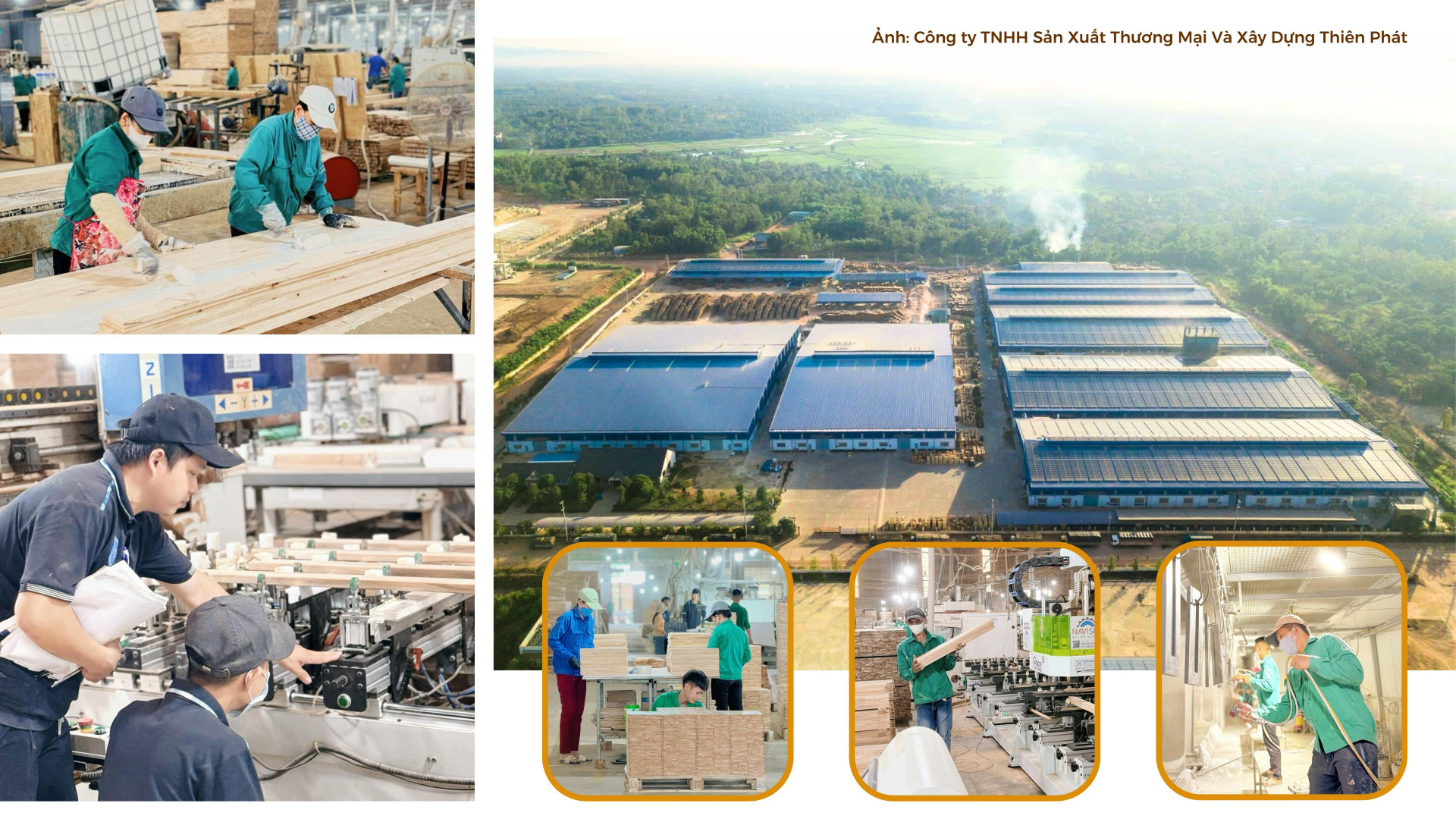 Cwin là sân chơi cá cược trực tuyến tại Việt Nam Bình Định