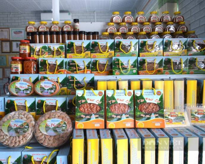tân phát lợi