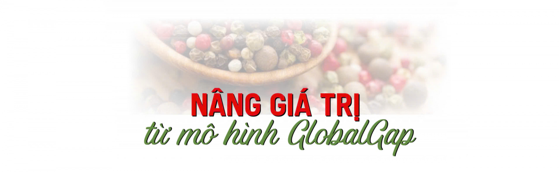 nang giá trị hồ tiêu