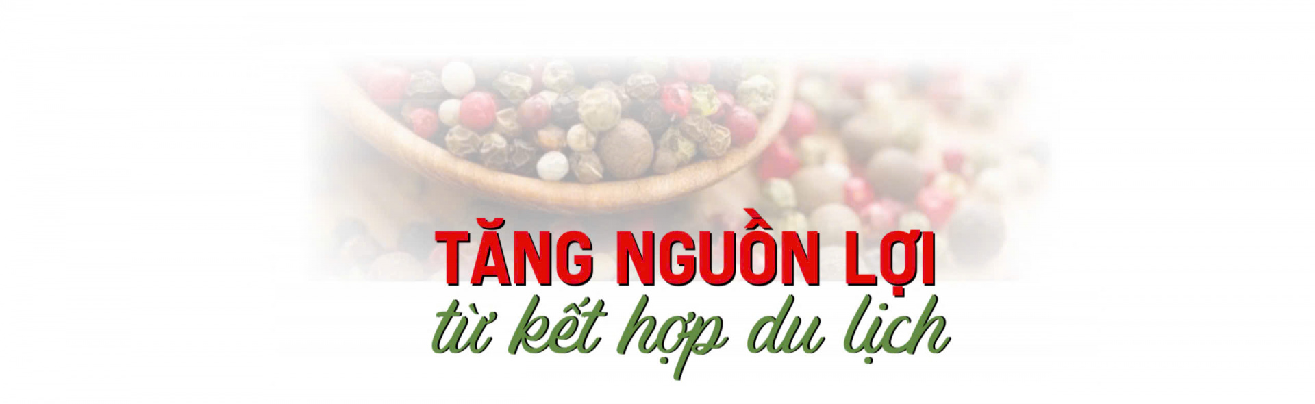 du lịch vườn tiêu