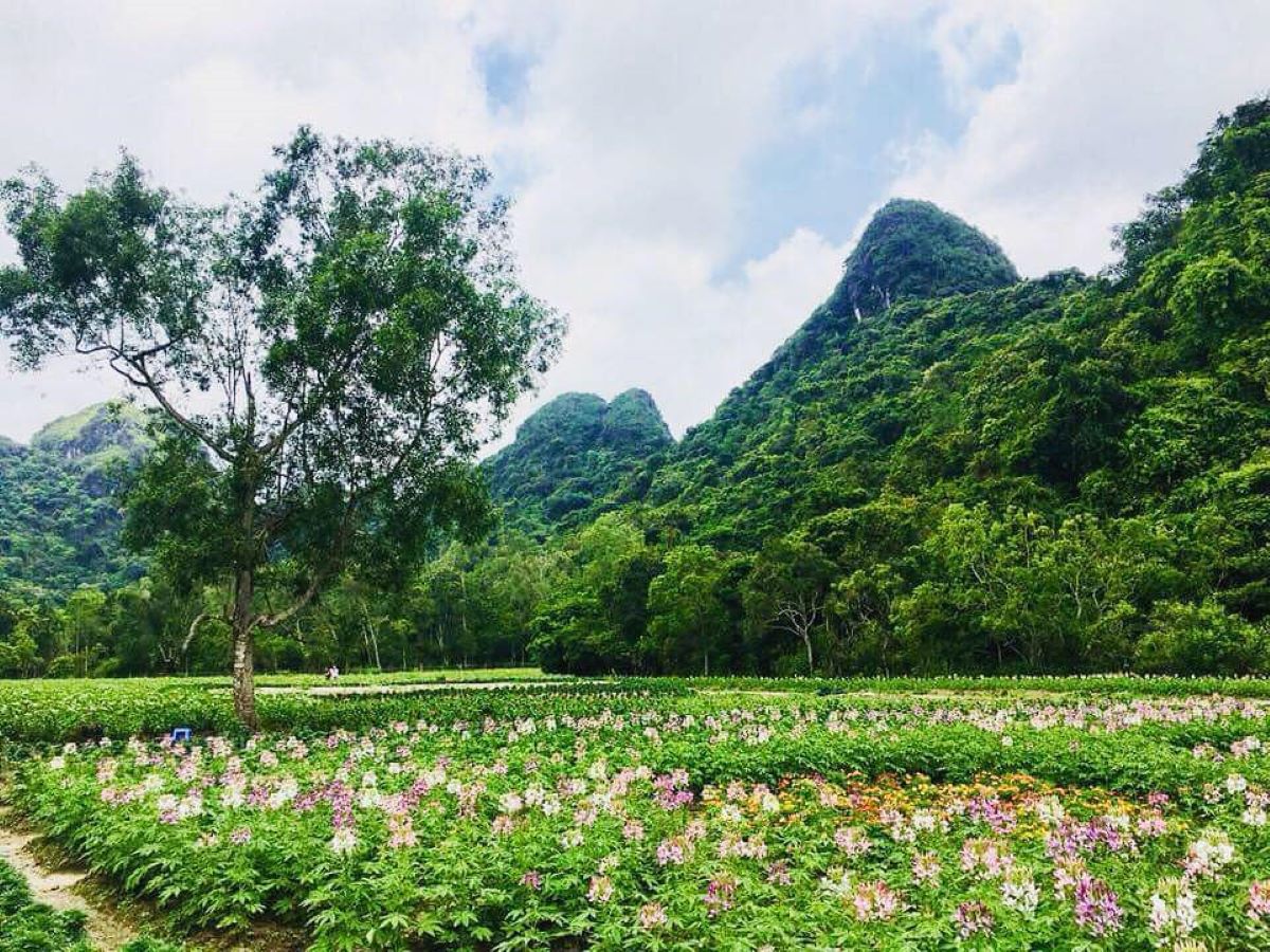vườn quốc gia