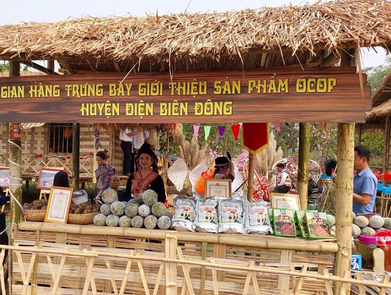 điện biên đông