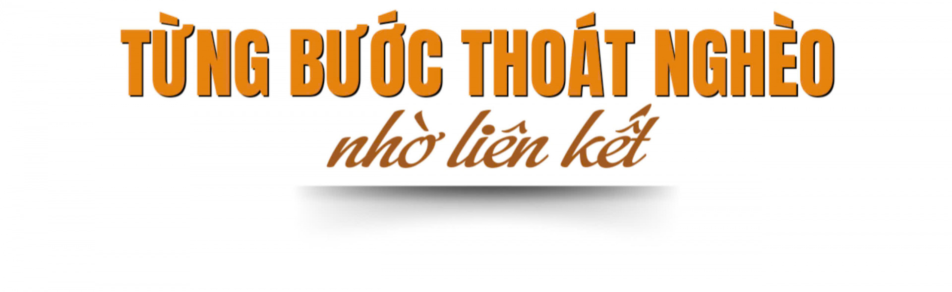 bánh tráng