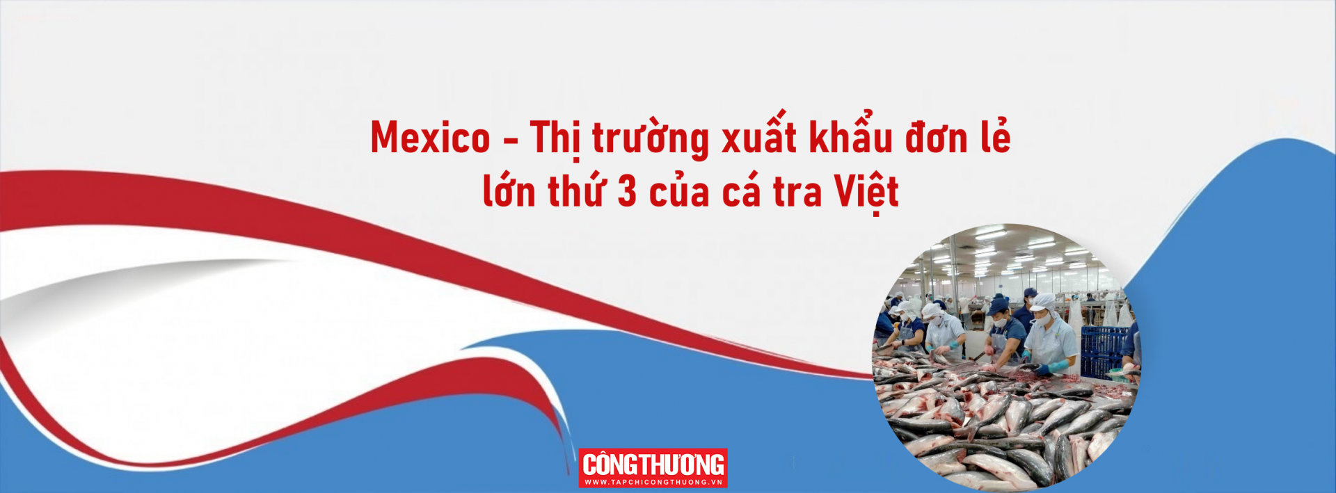 cá tra 1