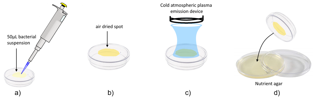 A diagram of a cell culture

Description automatically generated with medium confidence