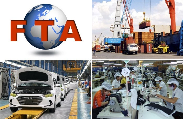 tận dụng fta