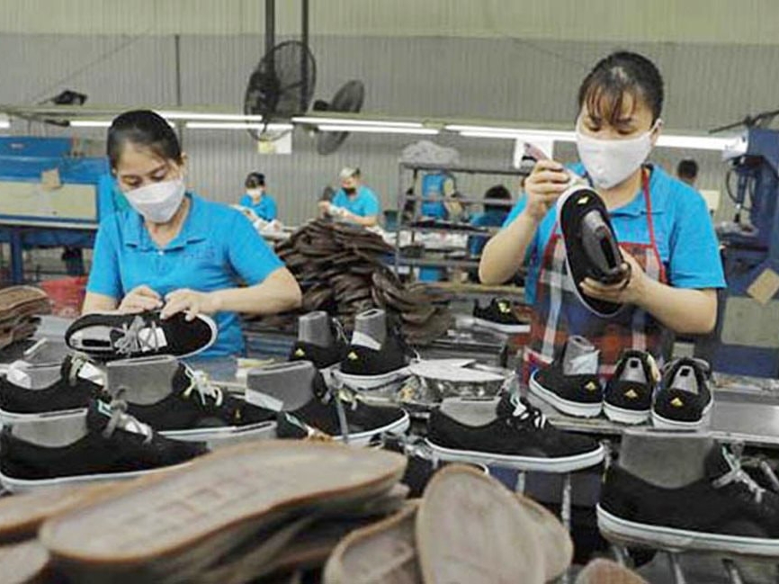 Trong nguy có cơ: Góc nhìn từ xu hướng “xanh hóa” của ngành da giày