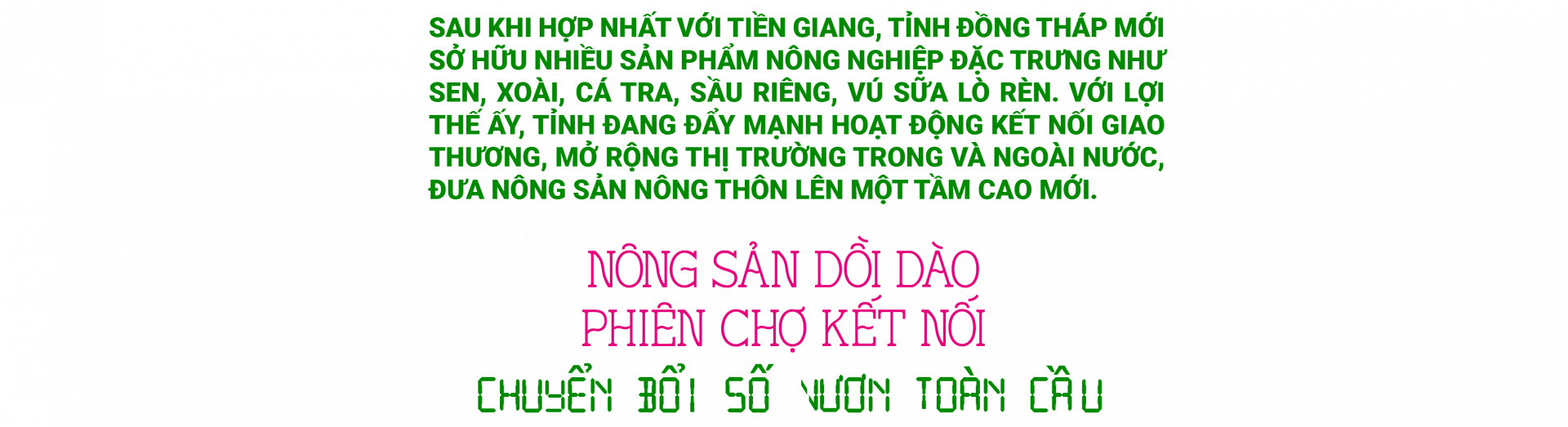Đồng Tháp