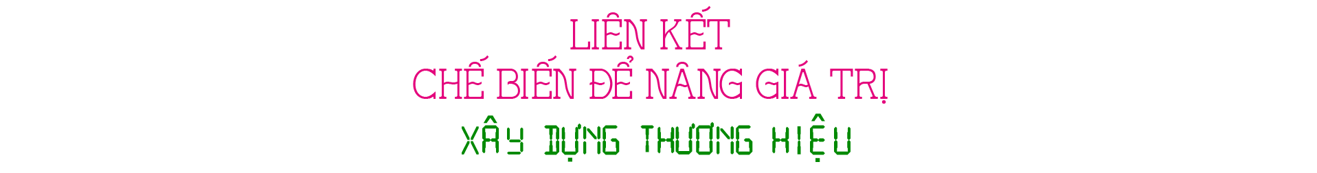 Đồng Tháp
