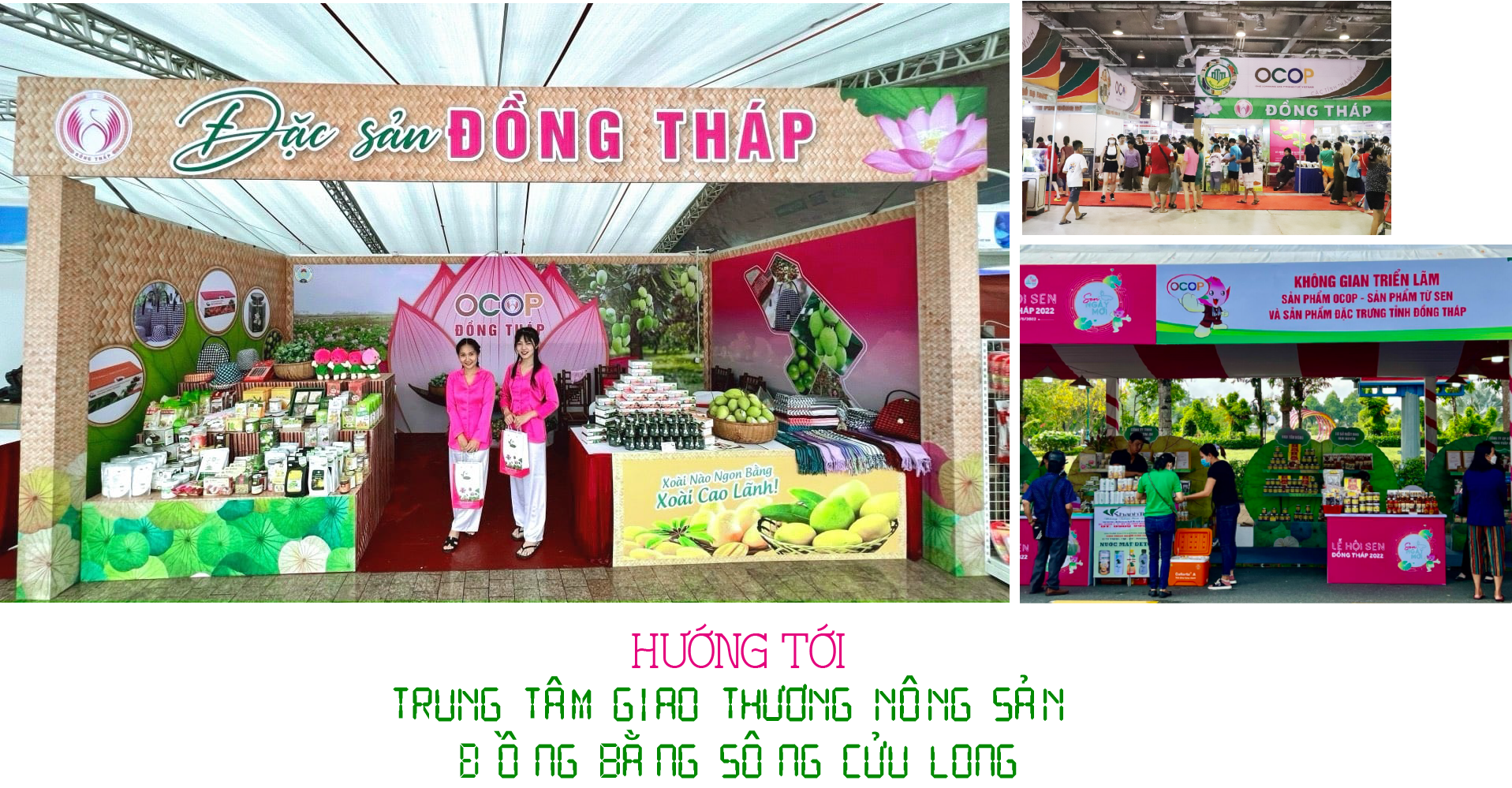 Đồng Tháp