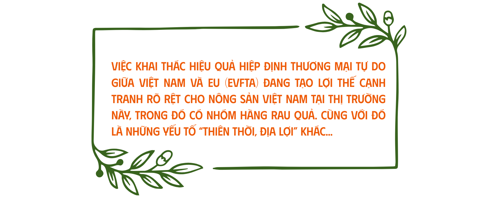 rau quả 1