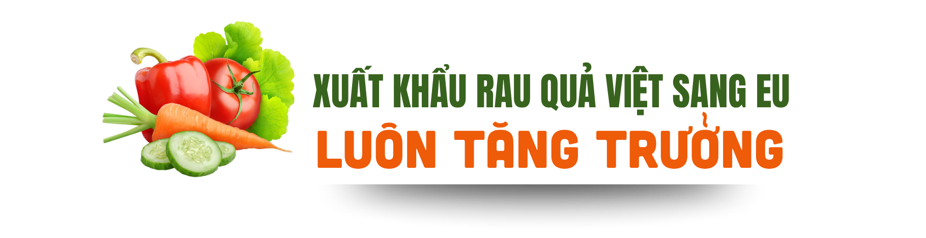 rau quả 1