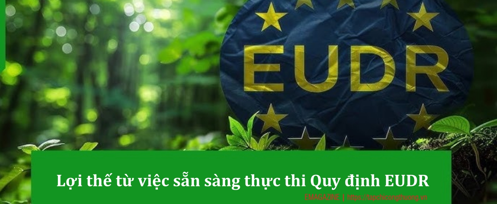 cà phê EUDR tít xen 1