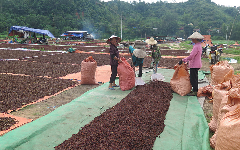 hồi 8