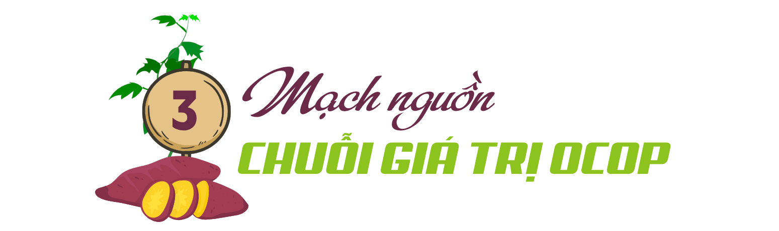 tít 3