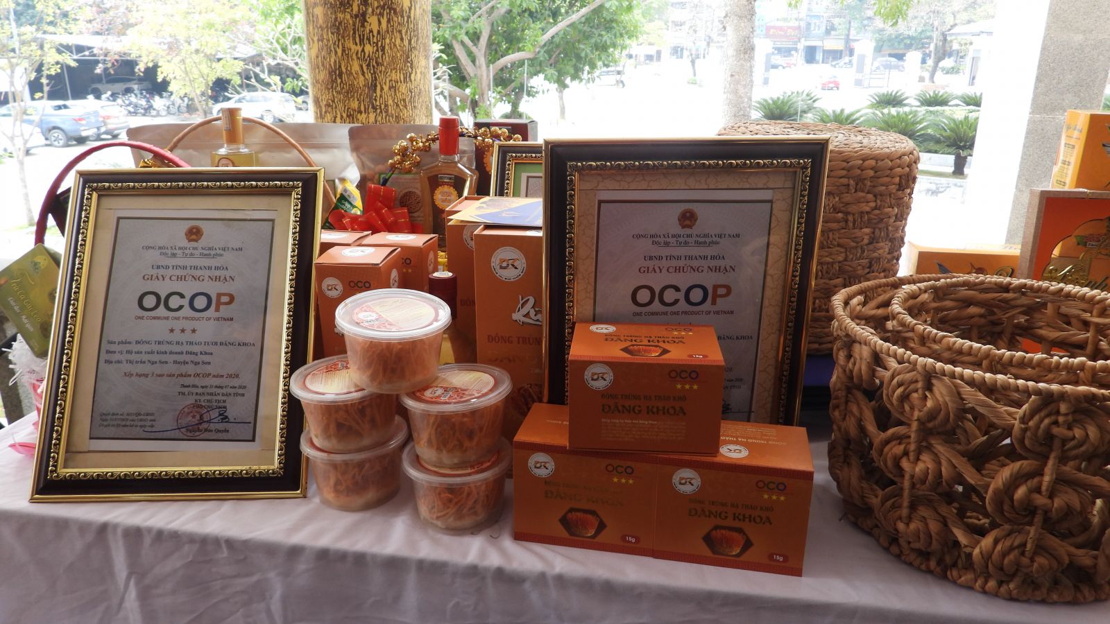 ocop 3