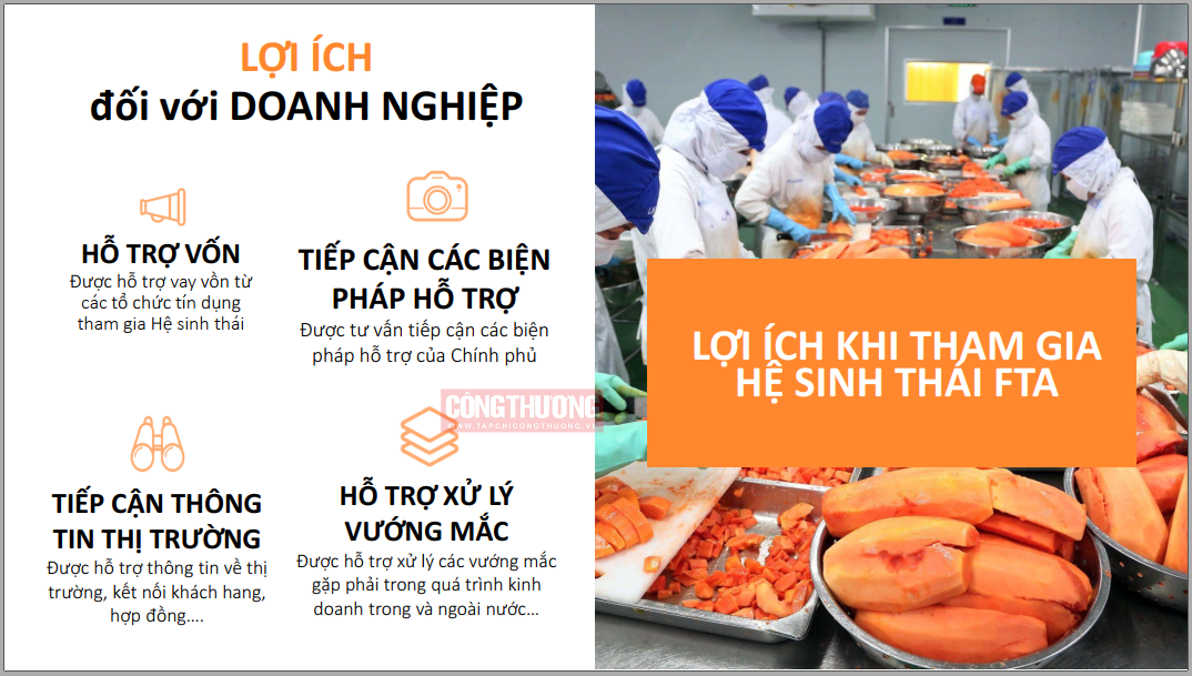 hỗ trợ DN