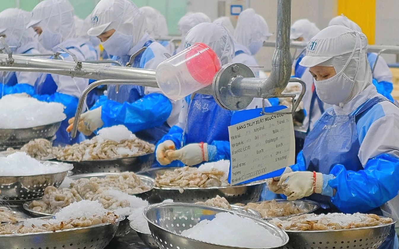 tôm chế biến