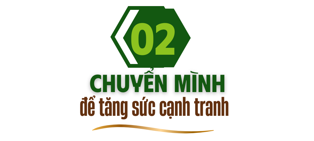 tít 2