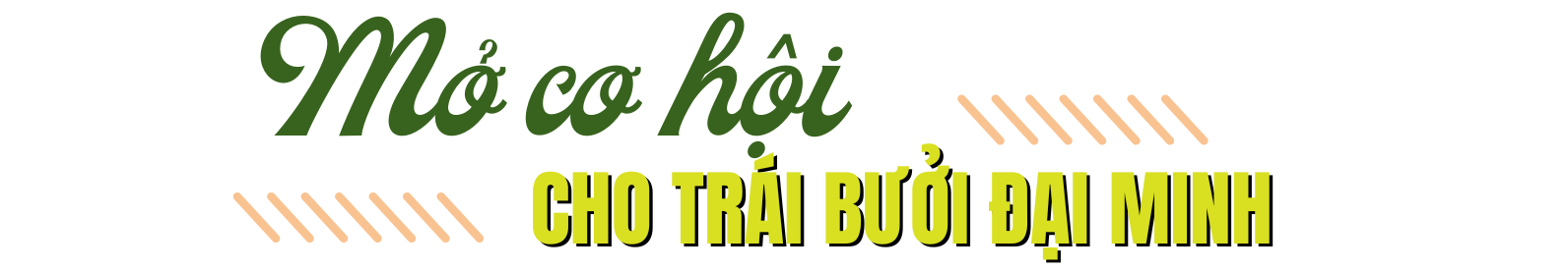 bưởi 2