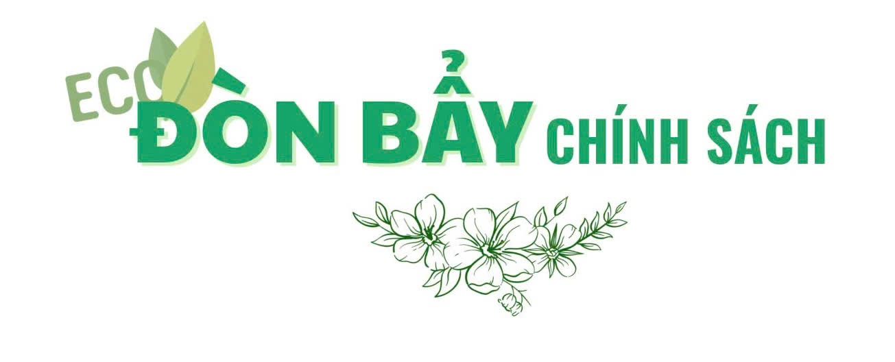 chuyển đổi xanh 