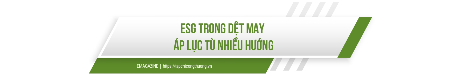 Dệt may