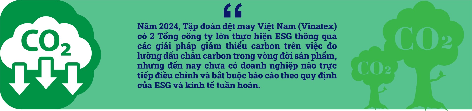 tập đoàn dệt may Việt Nam