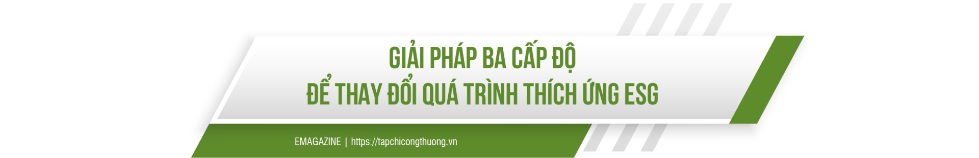ngành dệt may