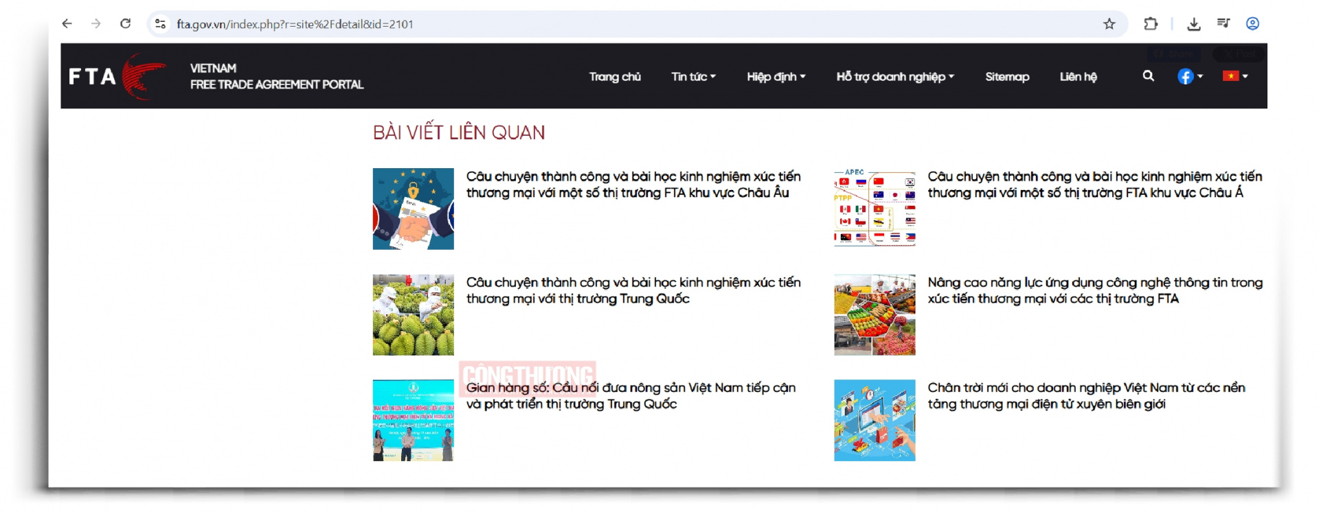 bài viết liên quan