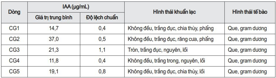 sinh tổng hợp