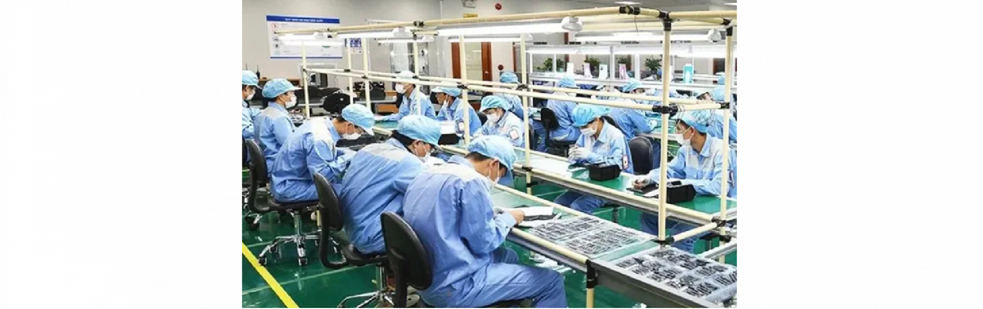 ngành Cwin là sân chơi cá cược trực tuyến tại Việt Nam bán dẫn