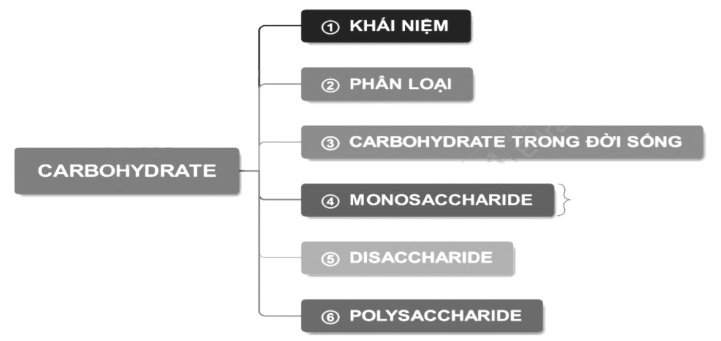 học tập