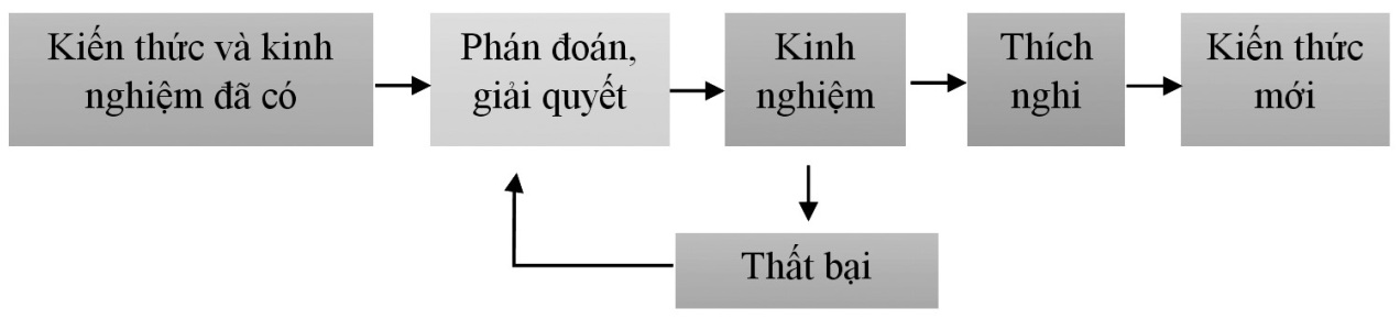 học tập