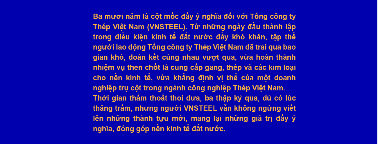 tong cong ty thep viet nam