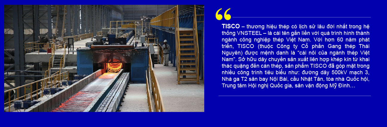 Tổng công ty Thép Việt Nam