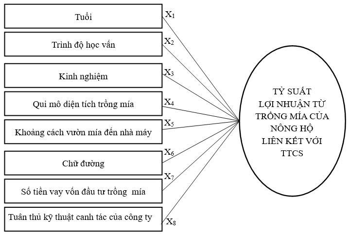 liên kết