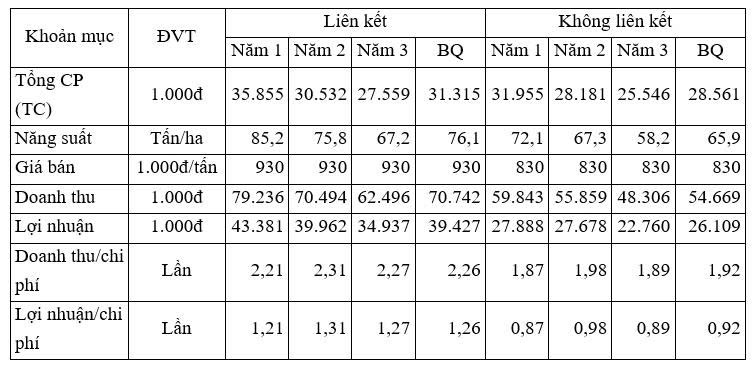 liên kết