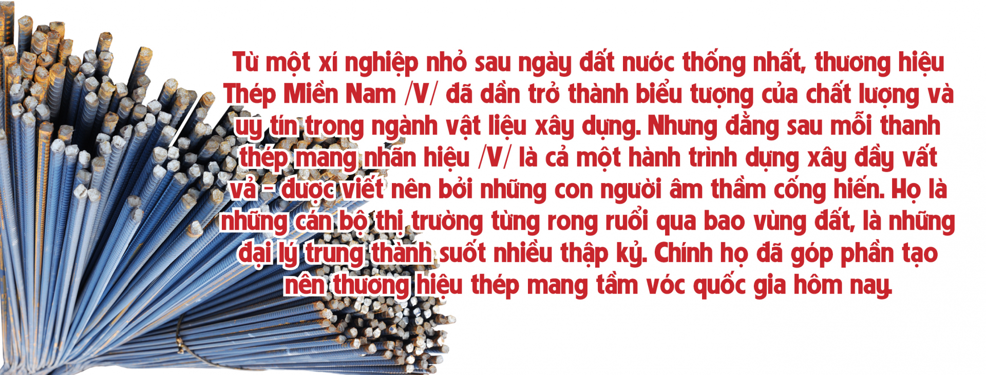 Thép Miền Nam